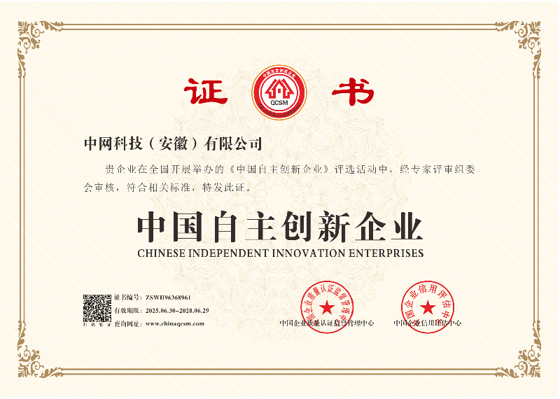 荣誉 中国自主创新企业